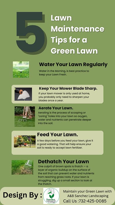 Eco Friendly Mowing Schedules: Maximize Lawn Health & Save Energy