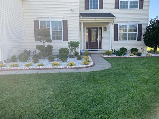 Lawn Renovation
